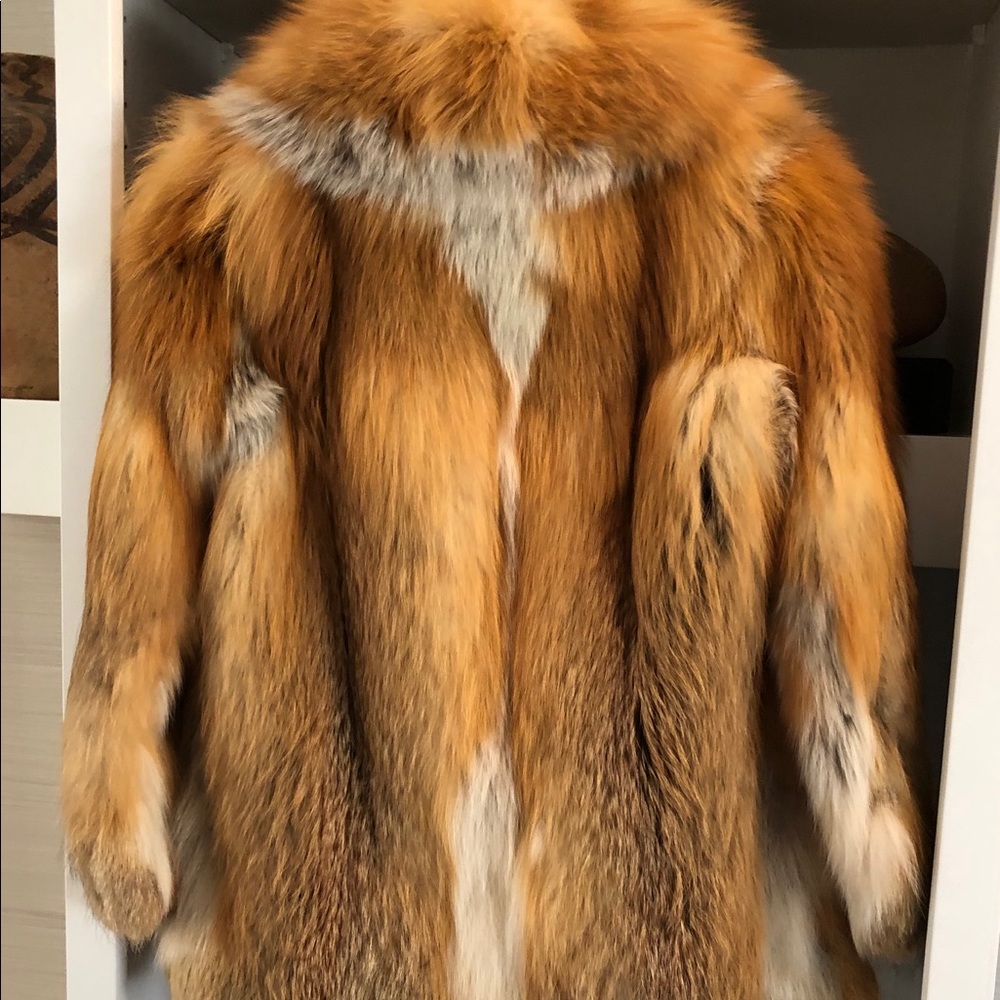 Fox fur (short) by James Hirsch